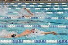 Swimming & Diving vs RWU  Swimming & Diving vs Roger Williams University. - Photo by Keith Nordstrom : Wheaton, Swimming